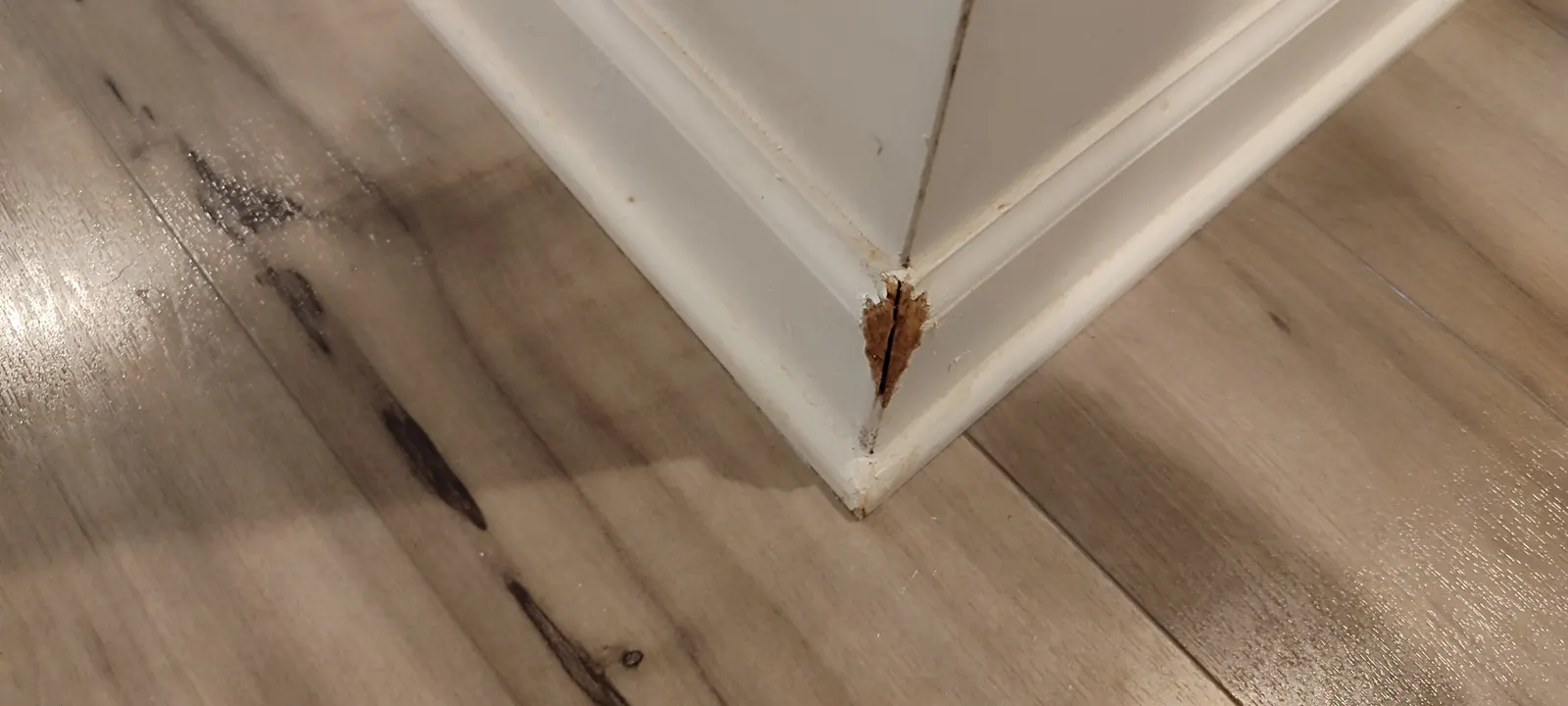 Chipped outside corner of the white baseboard