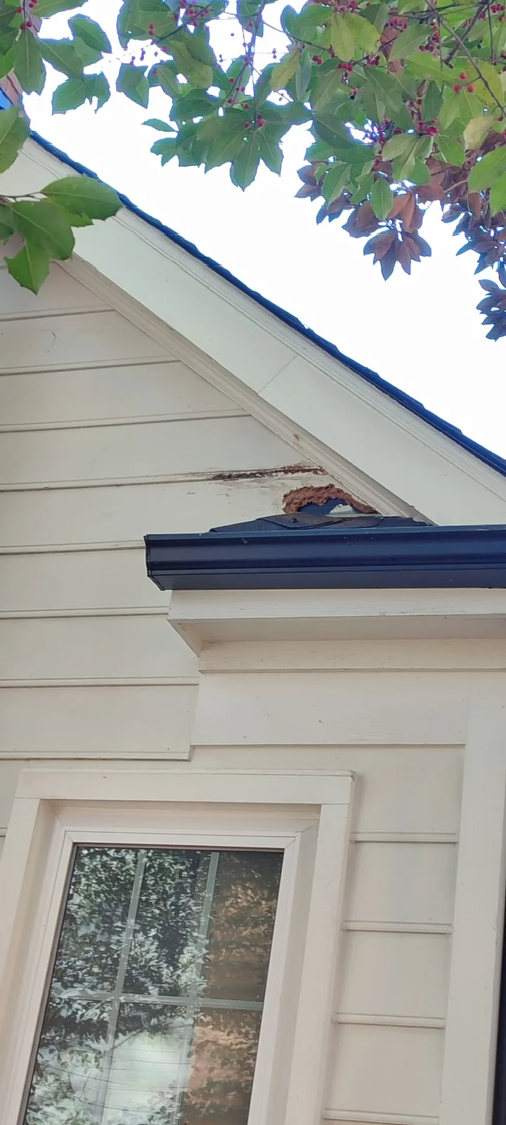 Exterior siding damage visible above a small roof section before repair