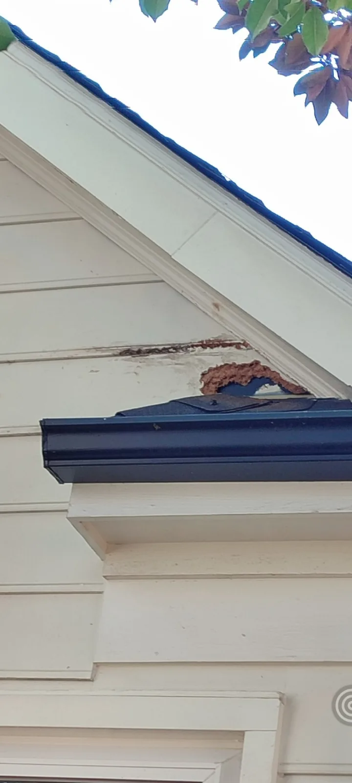 Close view of damaged exterior siding near the roof intersection before repair