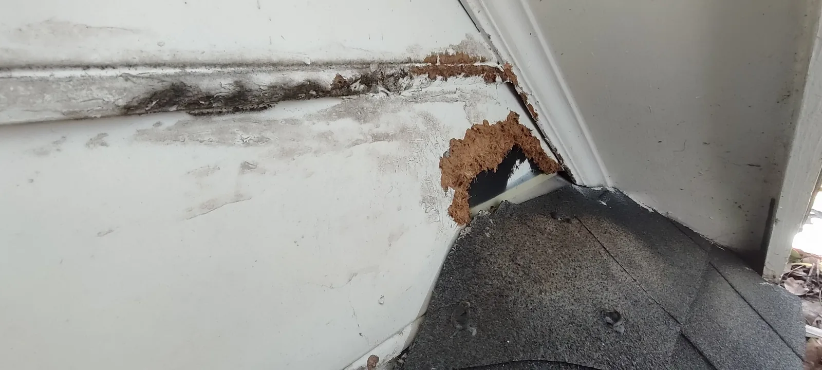 Damaged siding and exposed material at the roof-to-wall junction before removal