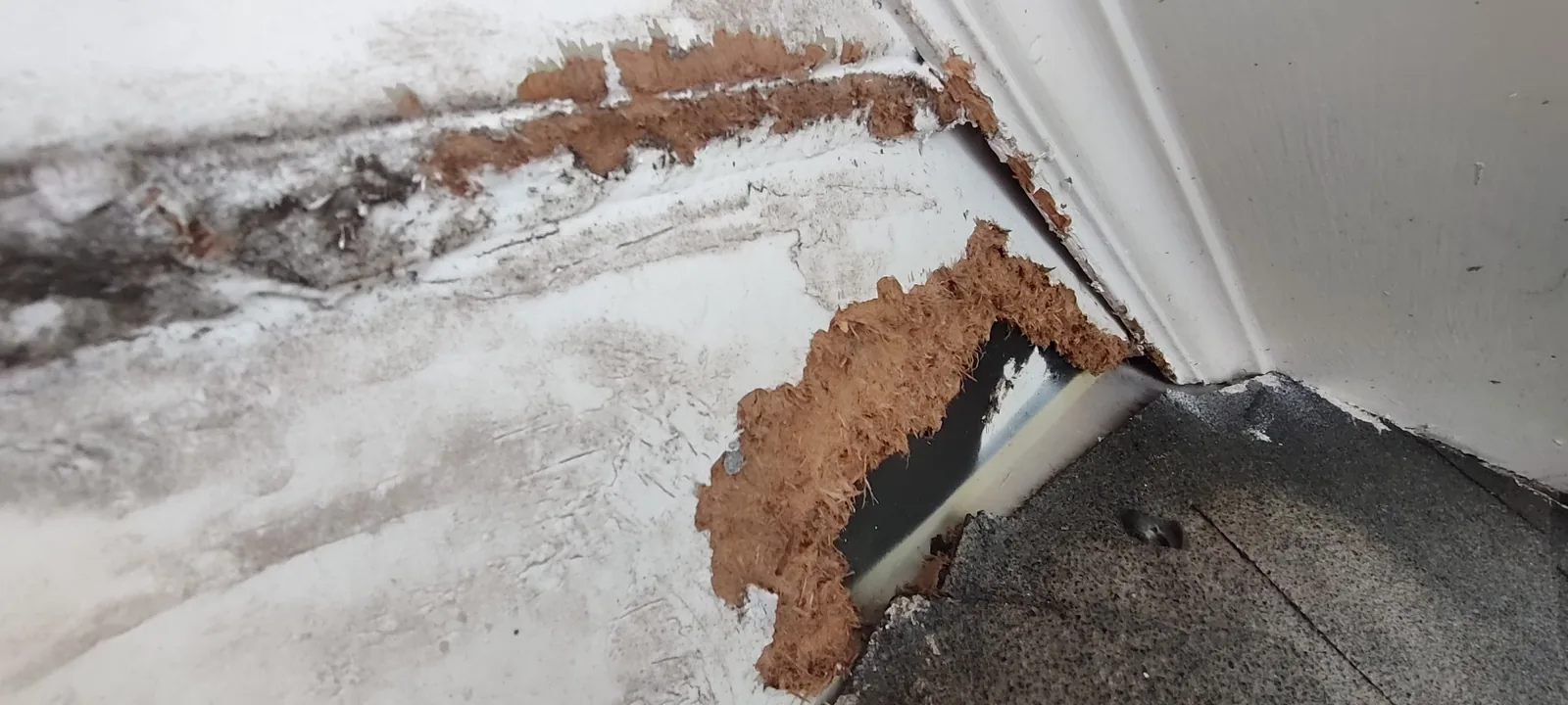 Detailed view of deteriorated exterior siding beside the roof flashing area