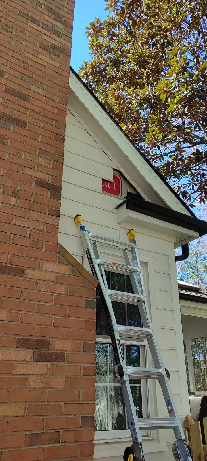 Exterior siding repair area accessed by ladder during removal of damaged panels