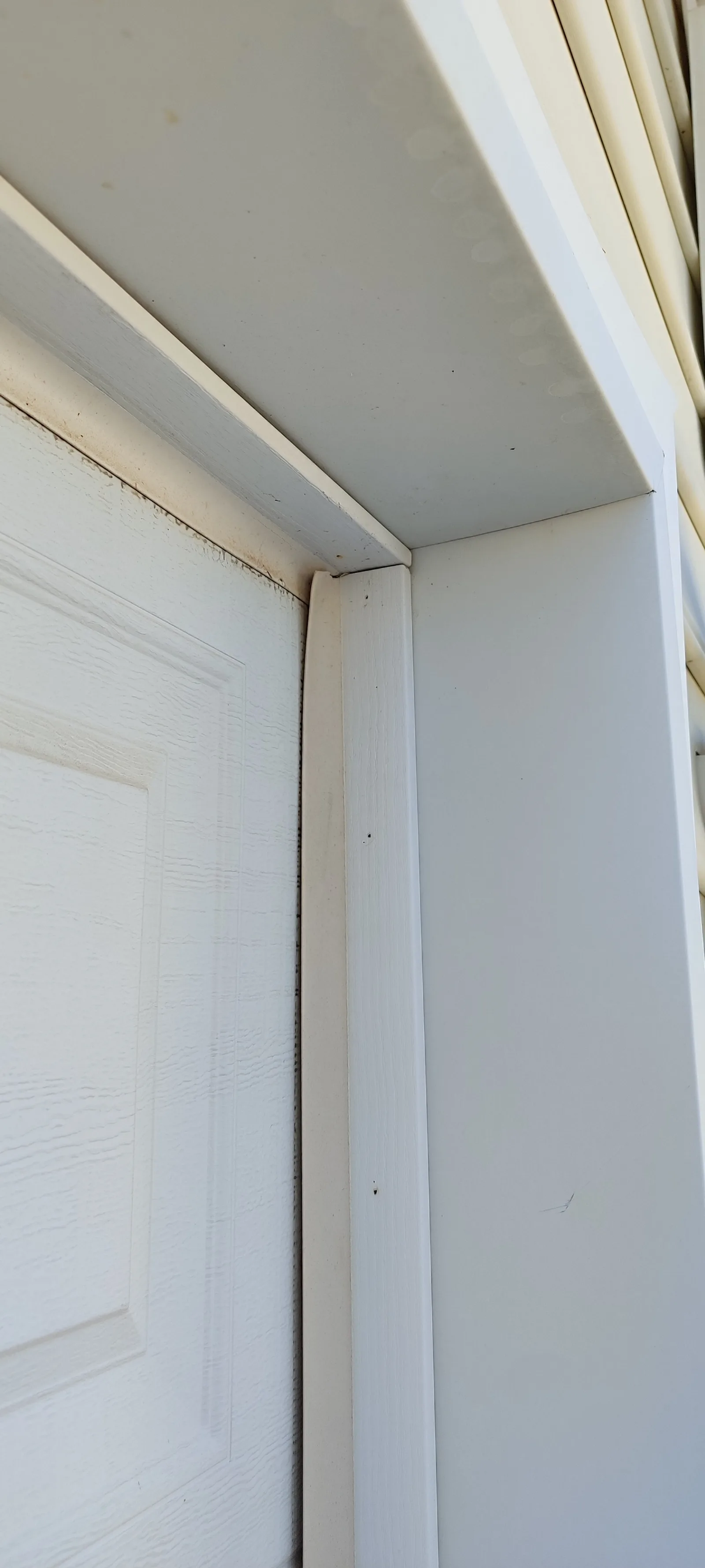 Old garage door side weather seal before replacement.
