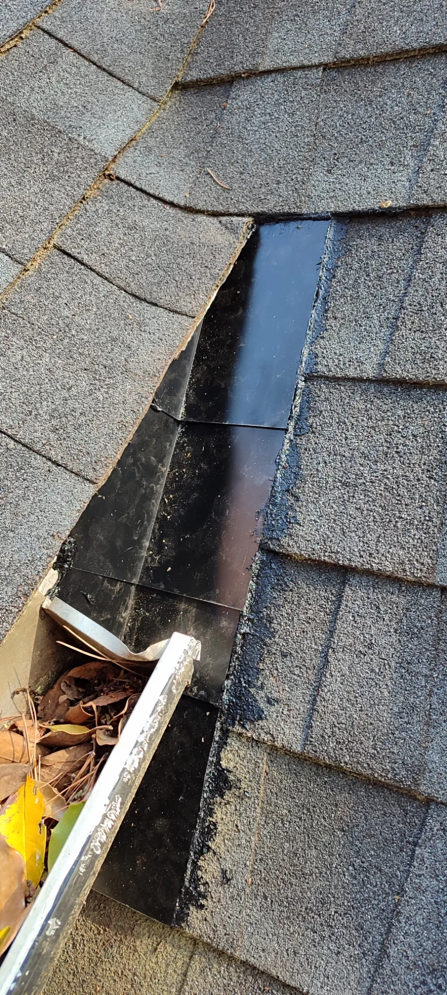 Roof shingles lifted above the soffit and fascia repair area.