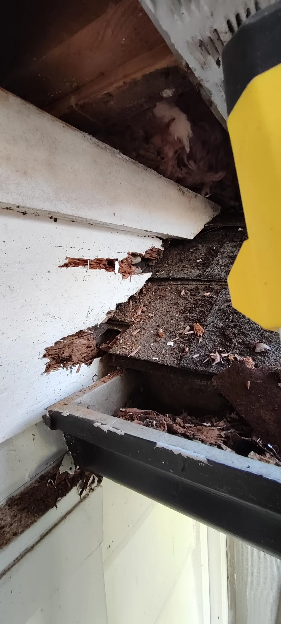 Exposed damaged wood inside the roof edge during repair.