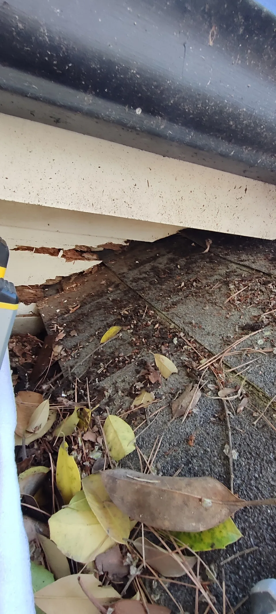 Damaged internal roof edge after exterior trim removal.