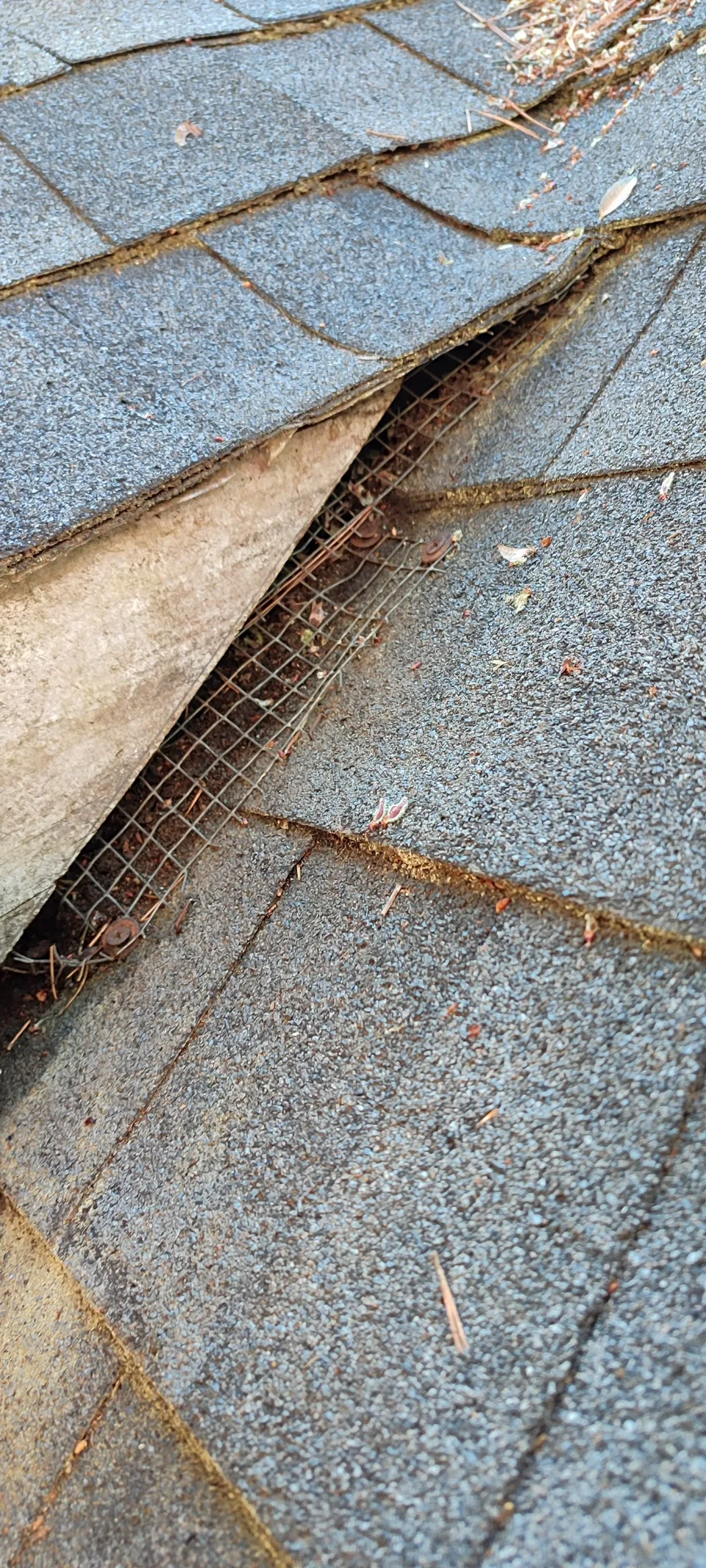 Prepared roof edge before restoration of the damaged section.