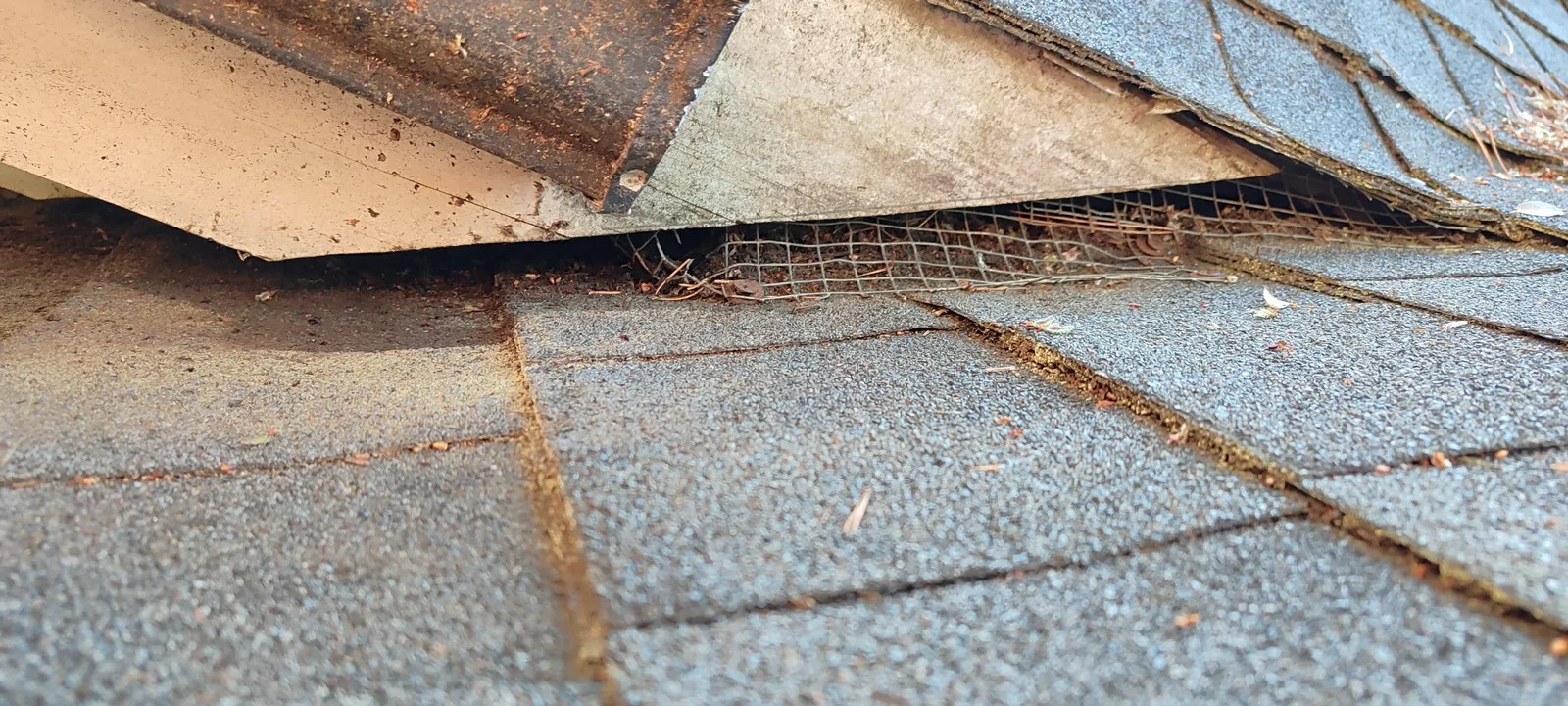 Open roof edge area during soffit and fascia repair.